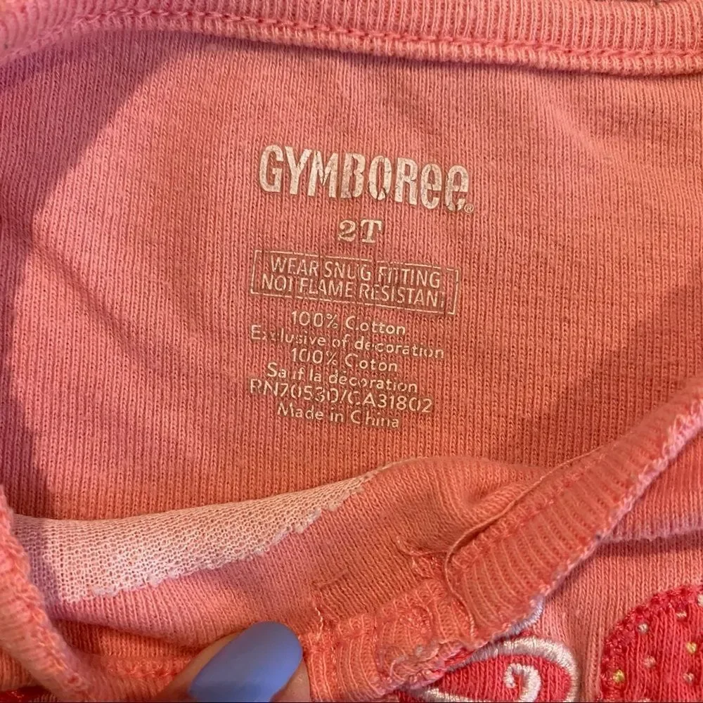 4/$20 Gymboree T-Shirt